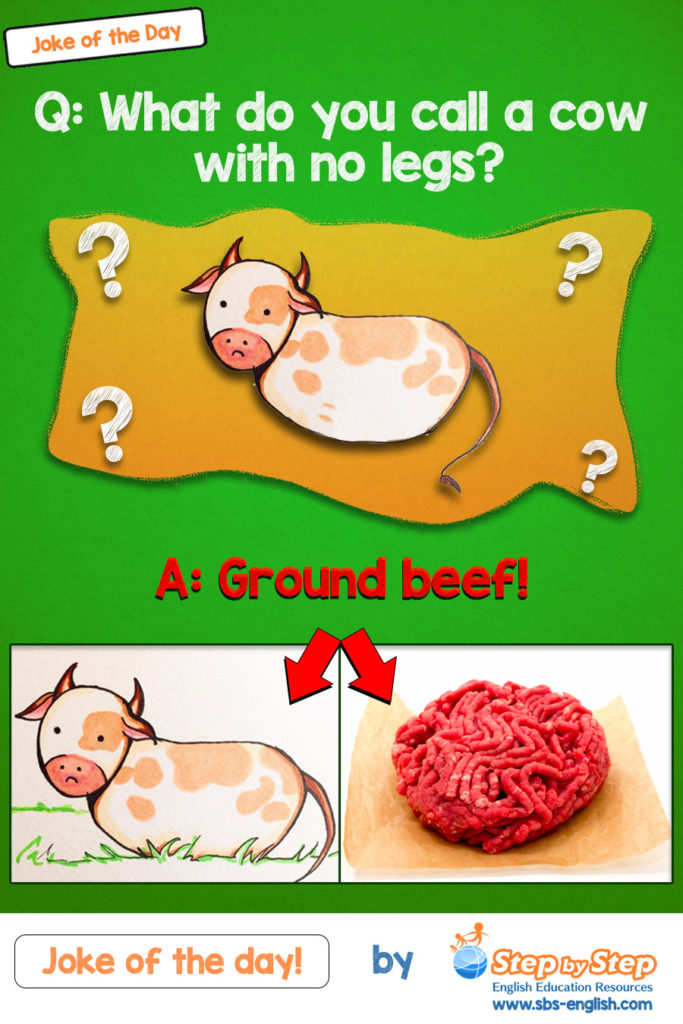 What Do You Call A Cow With No Legs Joke | ELS EFL Joke of the Day
