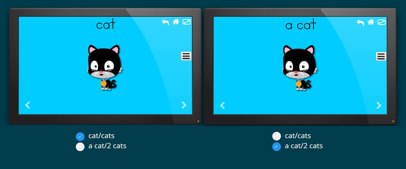 indefinite article flashcards